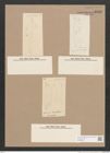 Pleurosigma sp. (de-Toni-Nr.: Genus 13) Zeichnungen Sammlung Grunow Nr. 2183 (NHMW-BOT-W0369252)